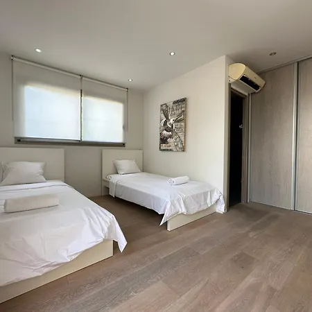 Moderne Avec Piscine 戛纳