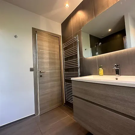 Moderne Avec Piscine 别墅 戛纳